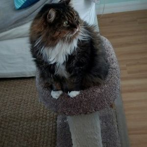 Meet your Posher, Cathy